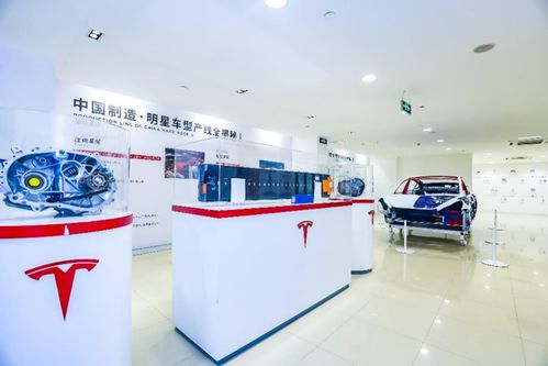 管中窺豹 上海超級工廠主題展登陸山城，揭秘特斯拉硬核科技與重慶心理咨詢跨界融合
